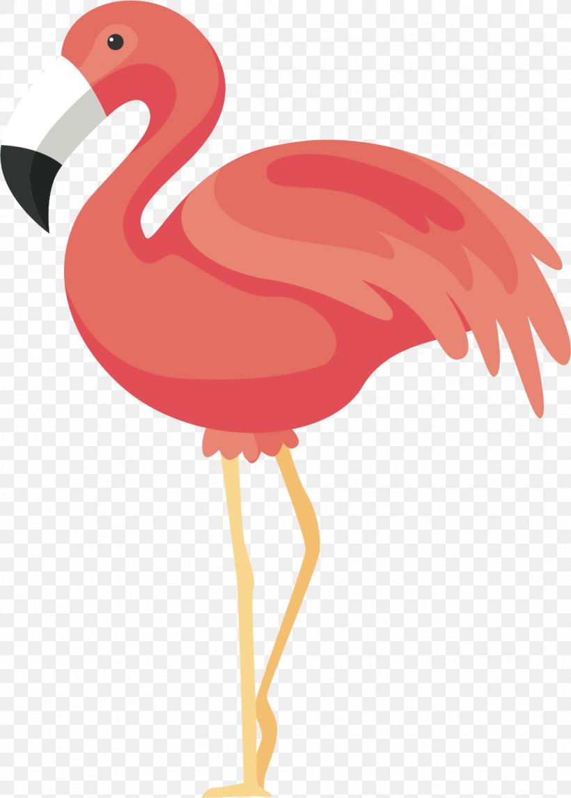 Flamingos Bird Icon, PNG, 1068x1492px, Flamingos, Beak, Bird, Chicken, Clip Art Download Free