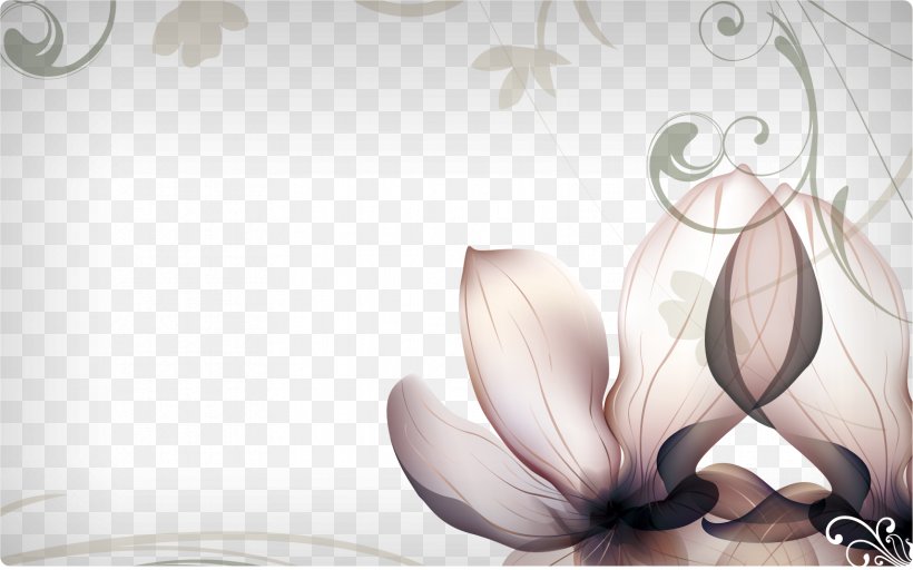 Flower Photography Desktop Wallpaper Petal, PNG, 1714x1071px, Flower, Drawing, Flora, Floral Design, Flowering Plant Download Free