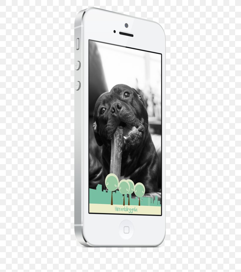 Labrador Retriever Smartphone Puppy Dog Breed Mobile Phone Accessories, PNG, 574x928px, Labrador Retriever, Breed, Communication Device, Crossbreed, Dog Download Free