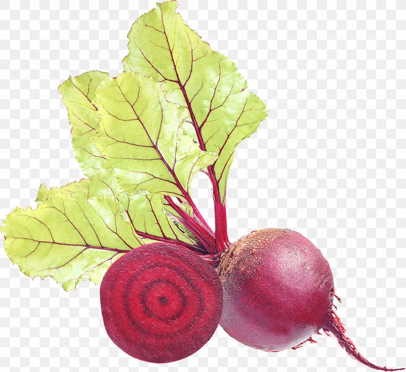 Radish Beetroot Beet Leaf Turnip, PNG, 2512x2298px, Radish, Beet, Beet Greens, Beetroot, Chard Download Free