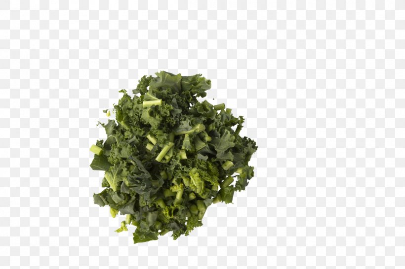 Leaf Vegetable Herb, PNG, 1100x733px, Leaf Vegetable, Herb, Superfood, Vegetable, Vegetarian Food Download Free