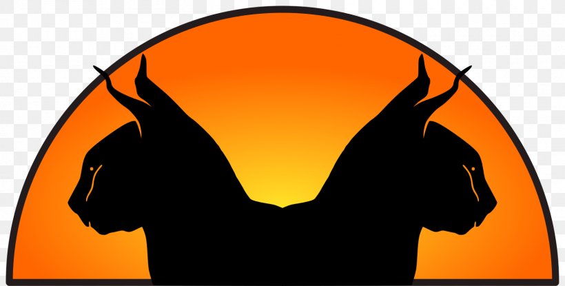 Orange Background, PNG, 1600x810px, Silhouette, Animation, Character, Computer, Head Download Free