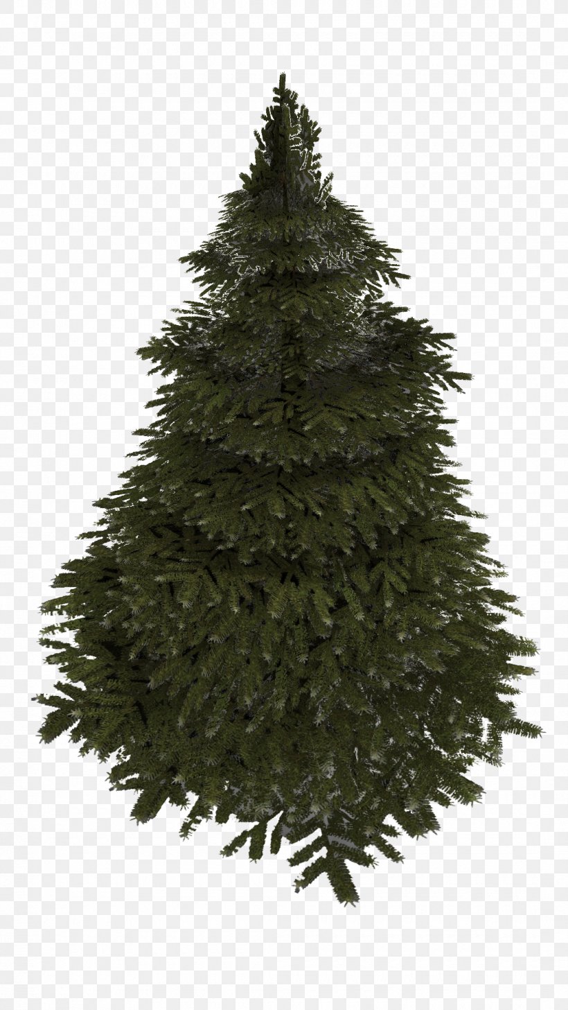 Spruce Christmas Tree Fir Pine, PNG, 1080x1920px, Spruce, Christmas, Christmas Decoration, Christmas Ornament, Christmas Tree Download Free
