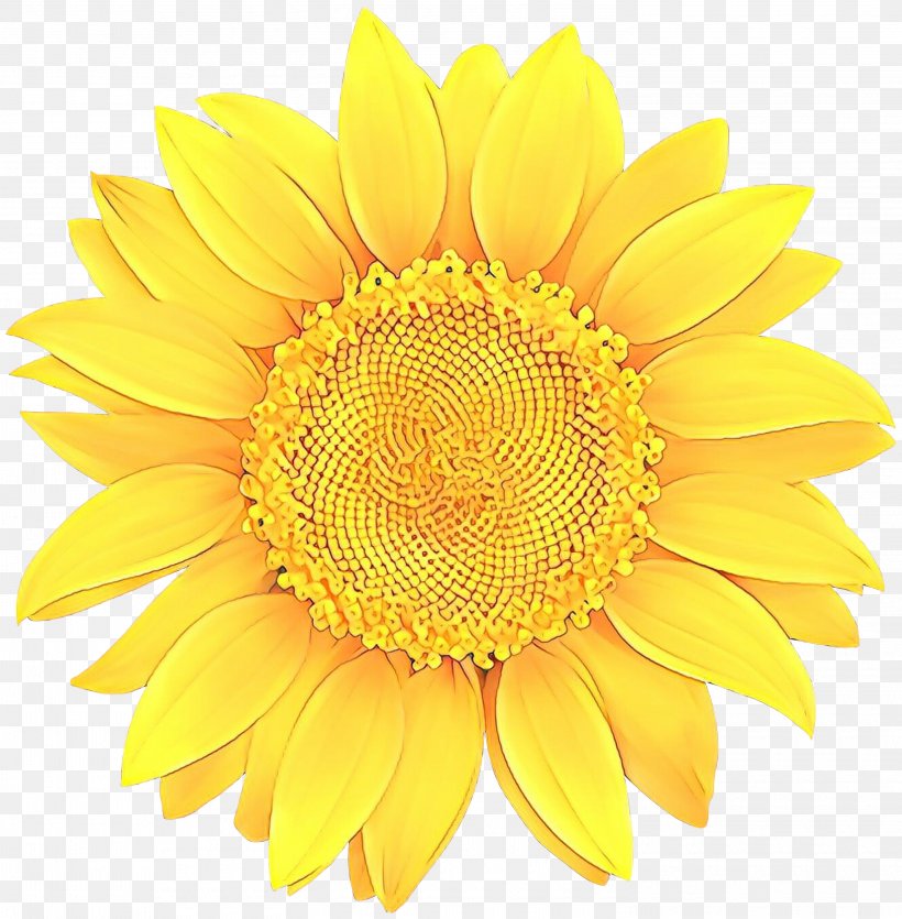 Sunflower, PNG, 2945x3000px, Cartoon, Cut Flowers, Daisy Family, Flower, Flowering Plant Download Free