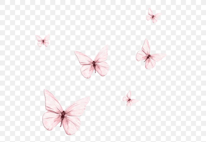 Butterfly Drawing, PNG, 564x564px, Butterfly, Butterflies And Moths, Color, Drawing, Flower Download Free