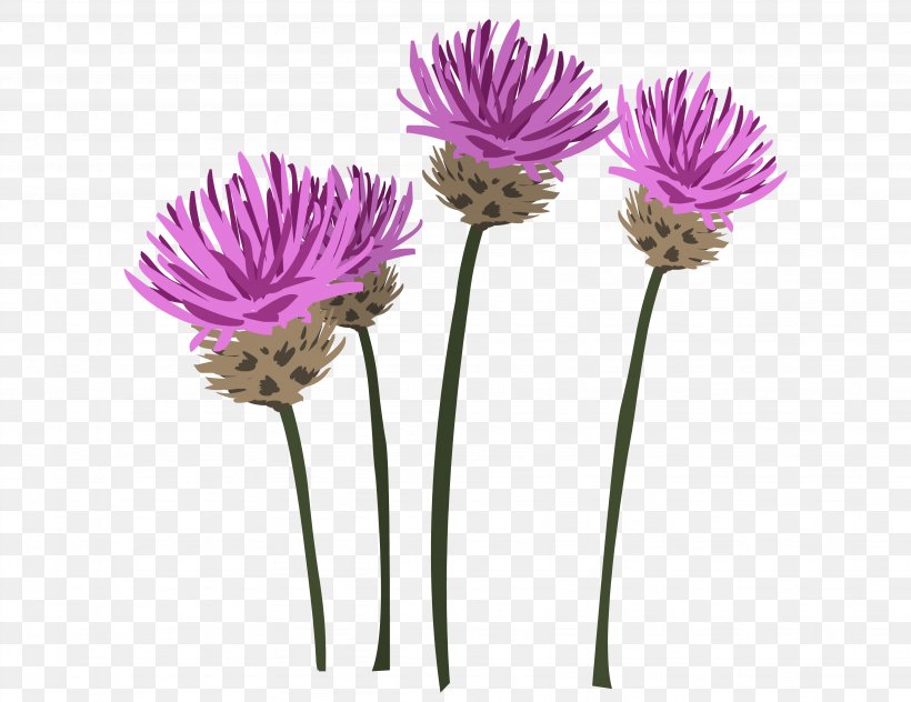 Flowerpot Plant Stem Cut Flowers Artificial Flower, PNG, 3889x3000px, Flower, Artificial Flower, Aster, Chives, Cut Flowers Download Free