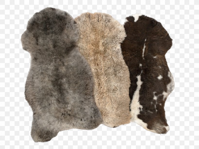 Fur Snout, PNG, 1000x750px, Fur, Snout, Wool Download Free