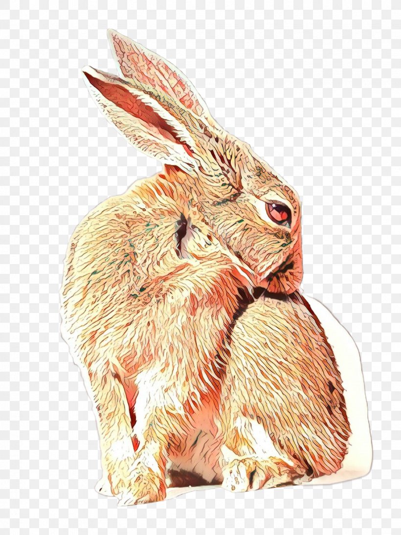 Hare Lionhead Rabbit Stock Photography Image, PNG, 1124x1500px, Hare, Animal, Black Tailed Jackrabbit, Domestic Rabbit, Leporids Download Free