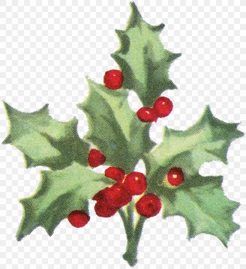 Paper Common Holly Christmas Gift Wrapping Aquifoliales, PNG, 1647x1800px, Paper, Aquifoliaceae, Aquifoliales, Berry, Christmas Download Free