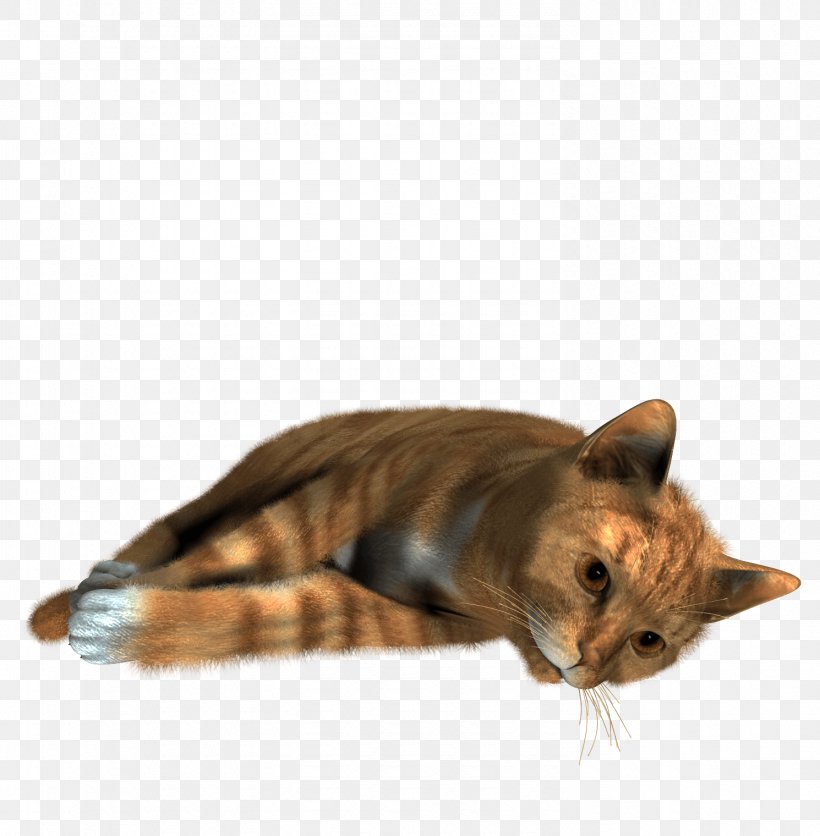 Cat Clip Art, PNG, 1490x1520px, Siamese Cat, Black Cat, Carnivoran, Cat, Cat Like Mammal Download Free