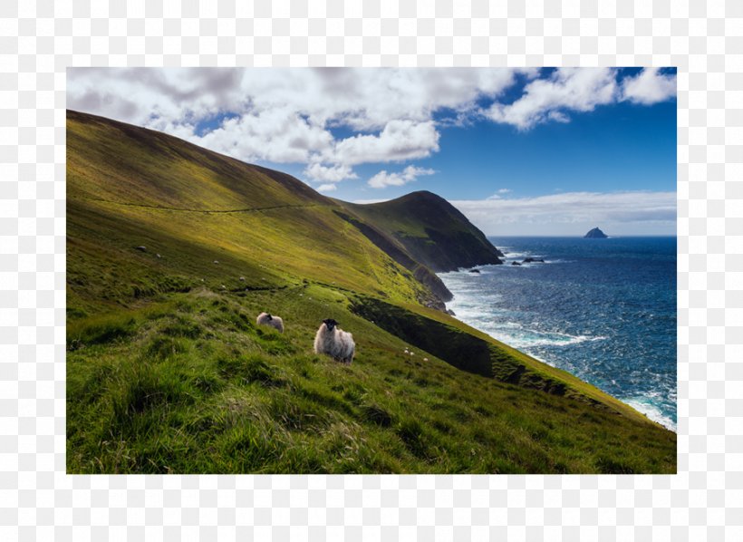 Great Blasket Island Wild Atlantic Way Beiginis Great-Blasket Island, PNG, 900x657px, Great Blasket Island, Bay, Blasket Islands, Cape, Cliff Download Free