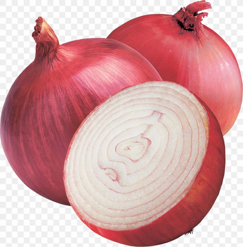 India Shallot Red Onion Vegetable Yellow Onion, PNG, 1532x1556px, India, Bangalore Rose Onion, Export, Food, Ingredient Download Free