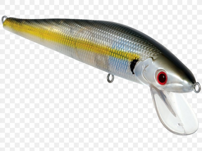 Plug Fishing Baits & Lures Bass, PNG, 1200x899px, Plug, Bait, Bait Fish, Bass, Bluefish Download Free
