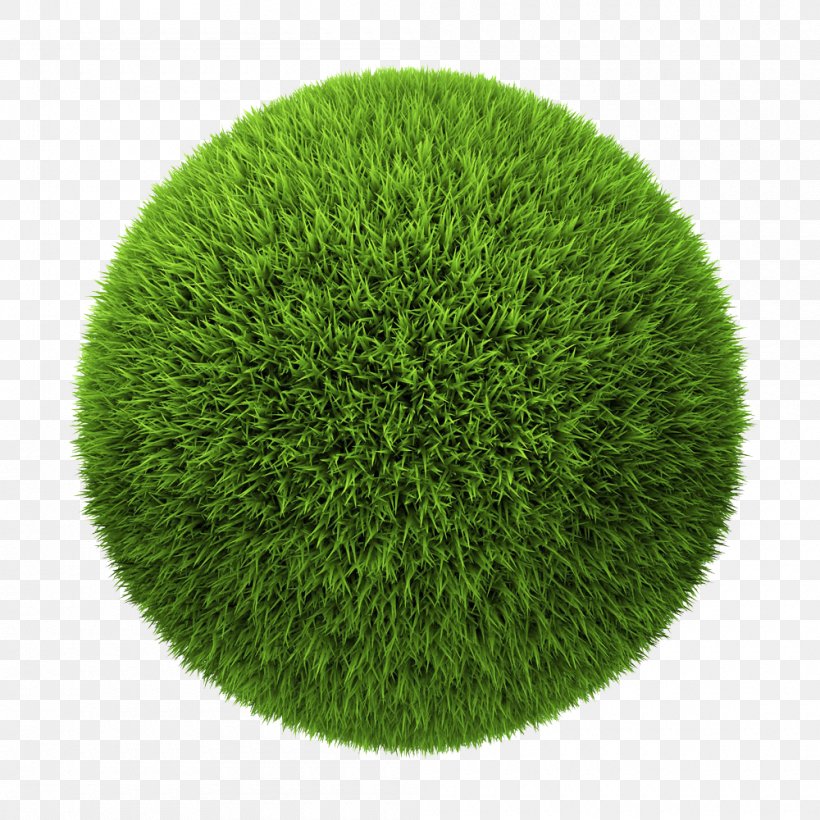 Stock Photography Ball Royalty-free Illustration, PNG, 1000x1000px, Stock Photography, Ball, Football, Grass, Grass Family Download Free