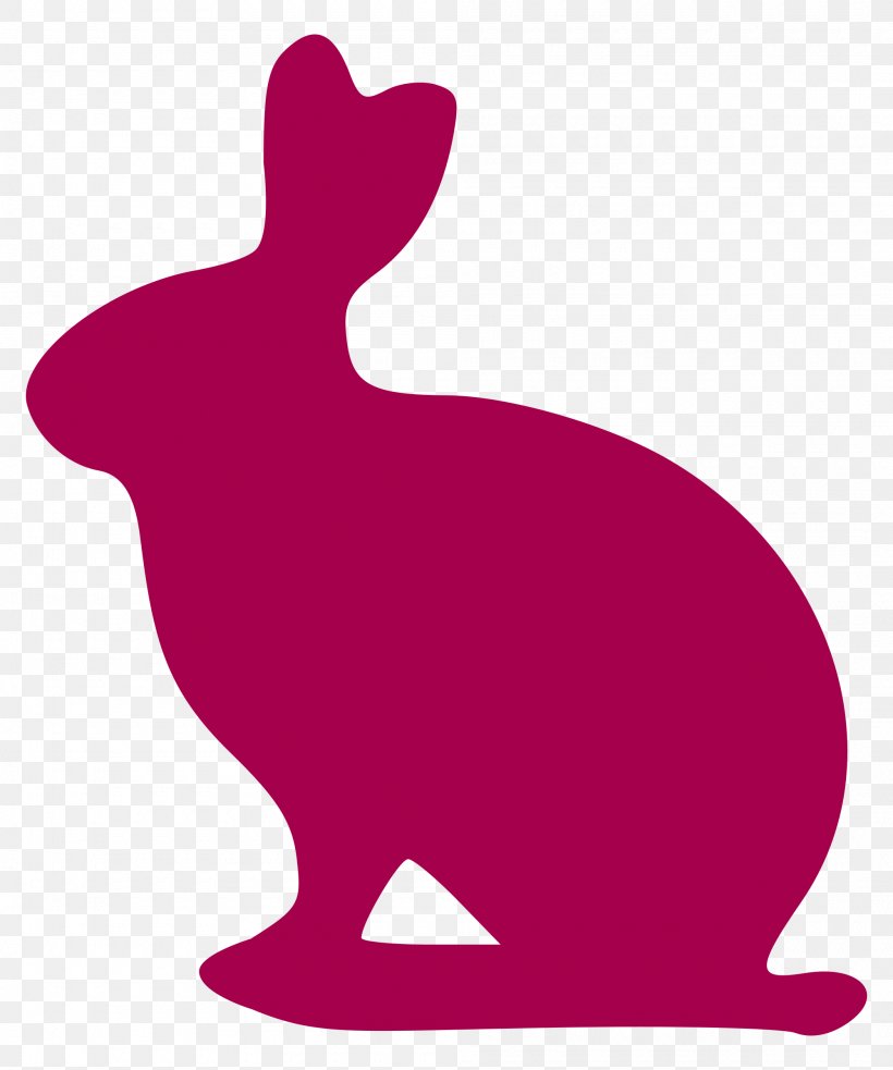 Argente Rabbit Belgian Hare Domestic Rabbit European Rabbit, PNG, 2000x2400px, Belgian Hare, Breed, British Rabbit Council, Carmagnola Grey, Cashmere Lop Download Free