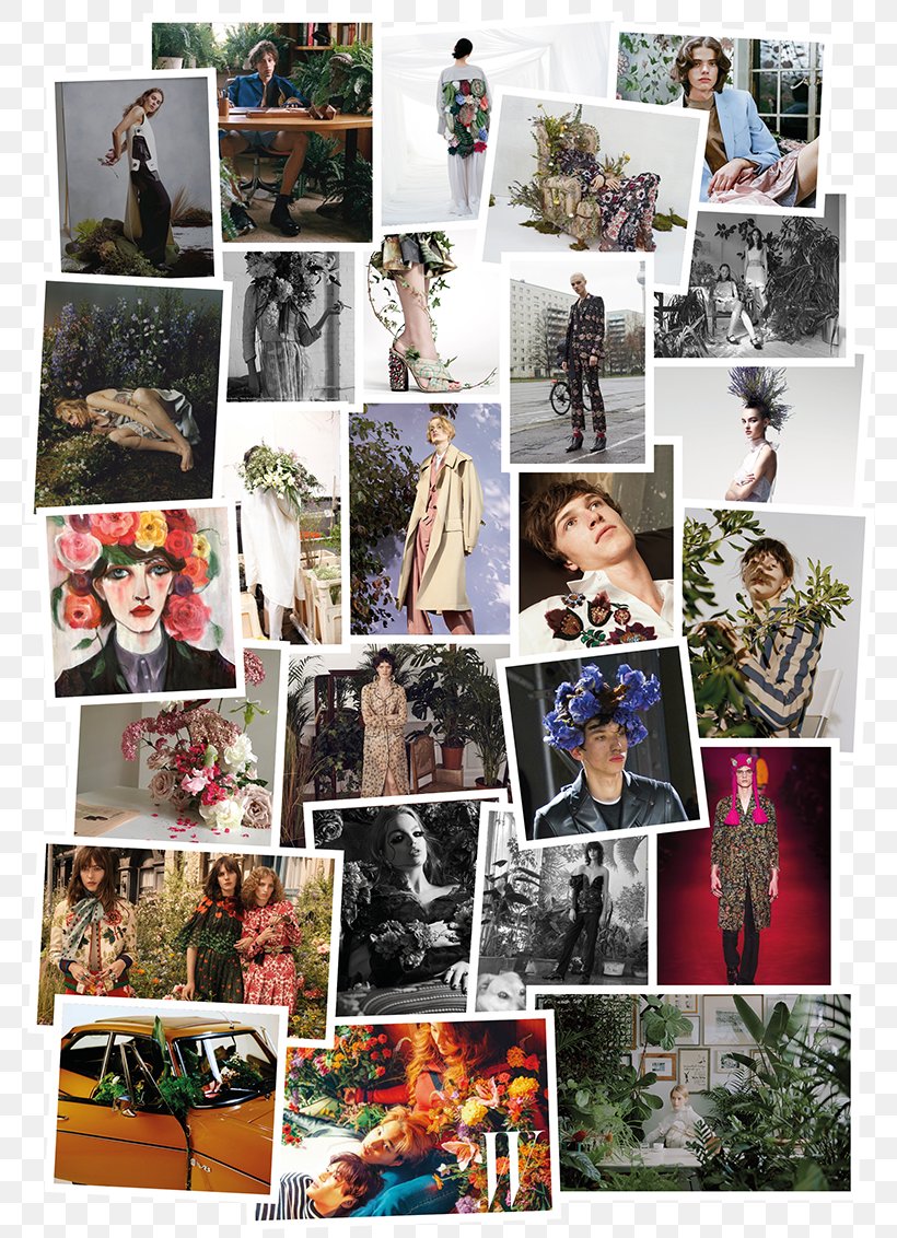 Collage Photomontage, PNG, 800x1132px, Collage, Art, Photomontage Download Free