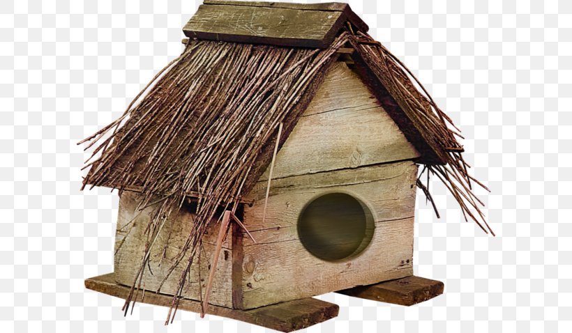 Pet Download, PNG, 600x478px, Pet, Birdhouse, Google Images, Hut, Madeira Download Free