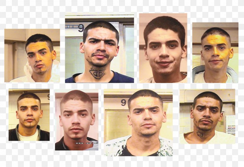 Prison Gang Bloods Albuquerque Gallup, PNG, 1000x683px, Gang, Albuquerque, Beard, Bloods, Chin Download Free