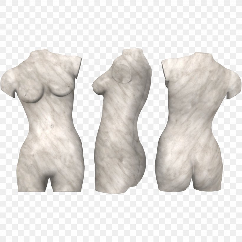Torso Human Body Abdomen Human Anatomy Hip, PNG, 2756x2756px, Torso, Abdomen, Anatomy, Arm, Casting Download Free