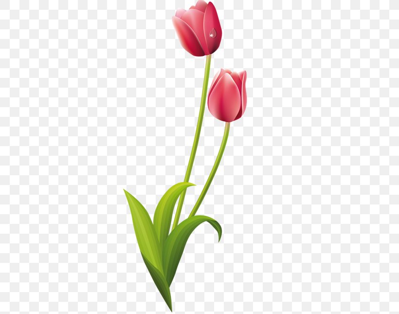Tulip Flower Drawings Clip Art Painting, PNG, 400x645px, Tulip, Art, Bud, Cut Flowers, Decoupage Download Free