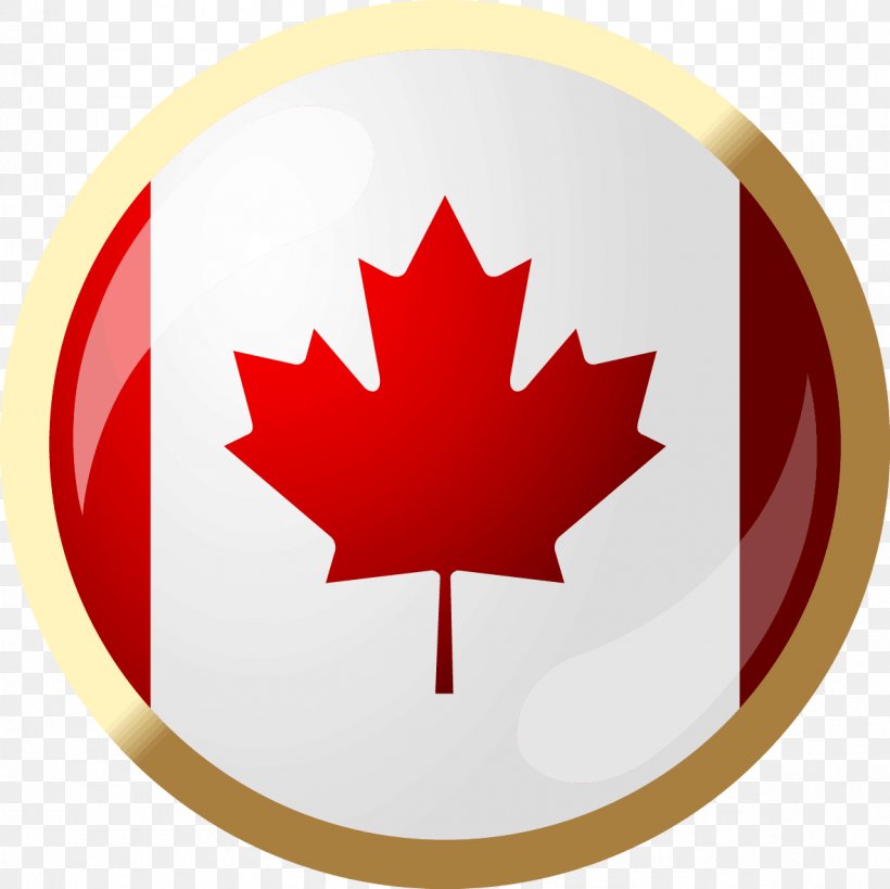 Canada United States Business Service Funding, PNG, 1181x1181px, Canada, Business, Campervans, Company, Factoring Download Free