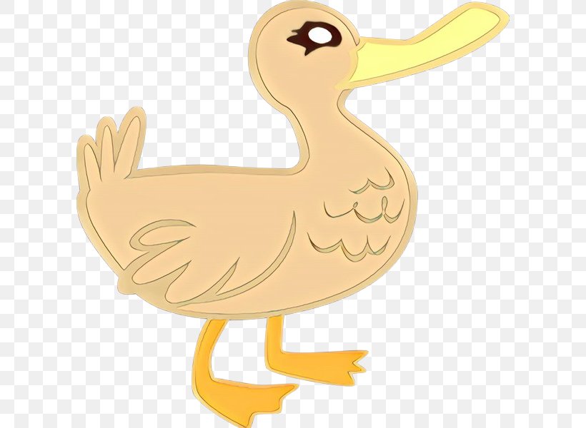 Chicken Cartoon, PNG, 606x600px, Duck, Beak, Bird, Cartoon, Chicken Download Free