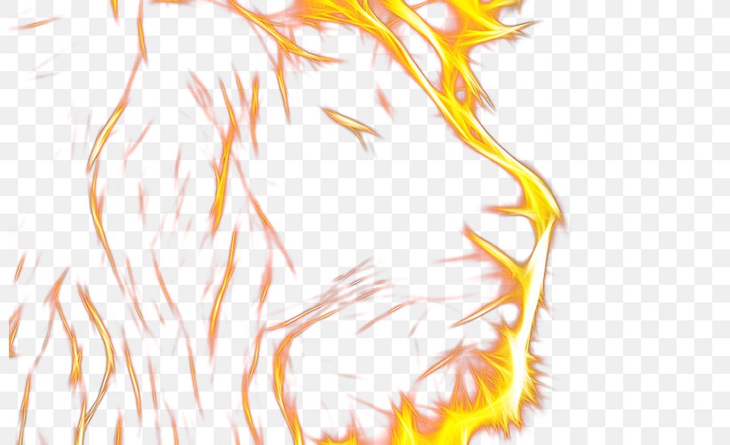 Flame Lion Head, PNG, 800x500px, Flame, Fire, Illustration, Joint, Orange Download Free