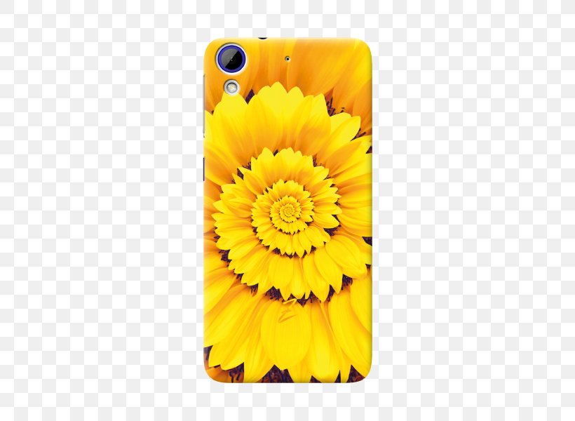 Transvaal Daisy Sunflower M Mobile Phone Accessories Marigolds Mobile Phones, PNG, 500x600px, Transvaal Daisy, Calendula, Daisy Family, Flower, Flowering Plant Download Free