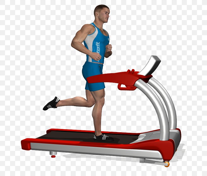 Treadmill Physical Fitness Aerobic Exercise Exercise Bikes Weight Training, PNG, 700x700px, Treadmill, Aerobic Exercise, Arm, Balance, Carpet Download Free