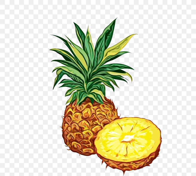 Watercolor Natural, PNG, 536x734px, Watercolor, Ananas, Bromeliaceae, Dole Food Company, Drawing Download Free