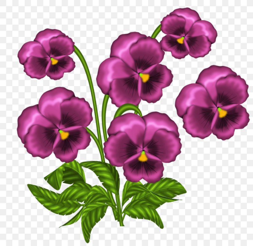 African Violets Light Clip Art, PNG, 800x800px, African Violets, Cut Flowers, Flower, Flowering Plant, Light Download Free