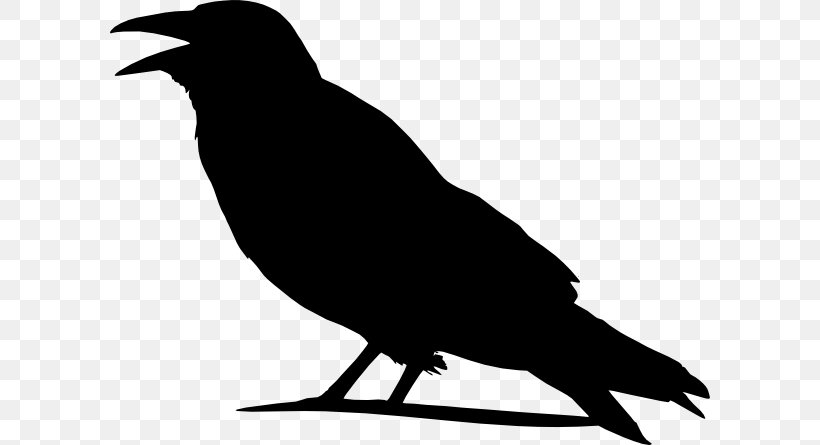 American Crow Clip Art, PNG, 600x445px, American Crow, Beak, Bird, Black And White, Cape Crow Download Free