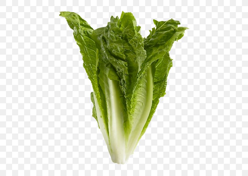 Romaine Lettuce Celtuce Spring Greens Collard Greens Komatsuna, PNG, 580x580px, Romaine Lettuce, Celtuce, Chard, Chinese Broccoli, Choy Sum Download Free
