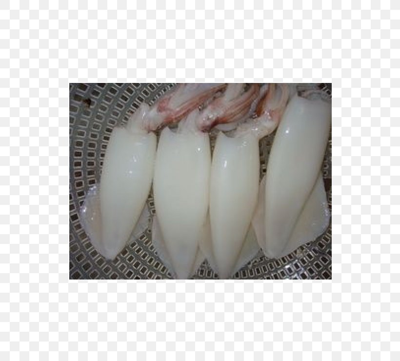 Squid As Food Thailand Manufacturing, PNG, 540x740px, Squid, Alibaba Group, Animal Source Foods, Cephalopod, Frozen Food Download Free