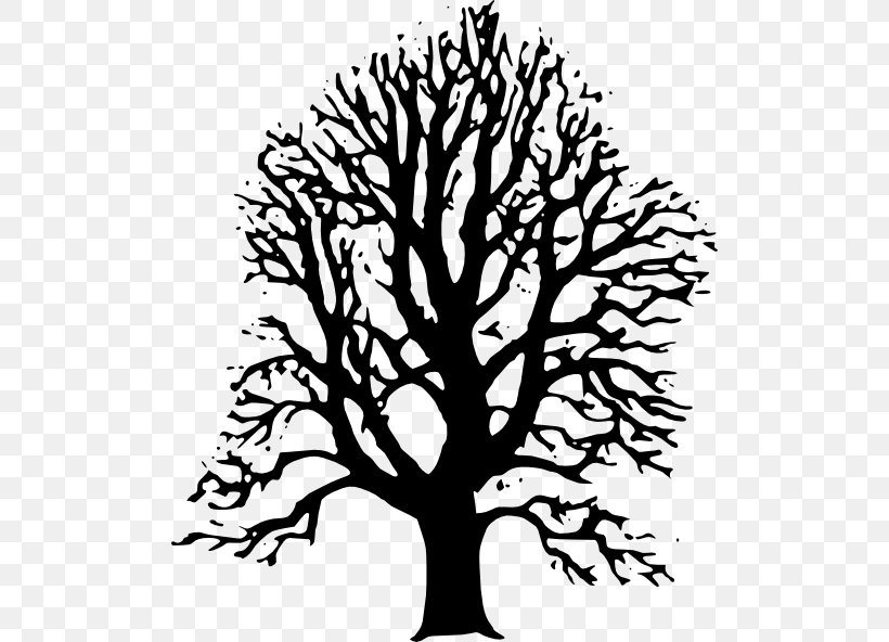 Tree Lime Clip Art, PNG, 504x592px, Tree, Artwork, Basswood, Black And White, Branch Download Free