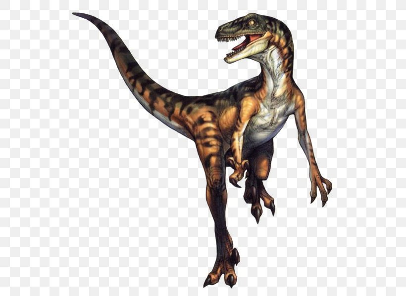 Velociraptor Tyrannosaurus Deinonychus Sinosauropteryx Dinosaur, PNG, 552x599px, Velociraptor, Avialae, Deinonychus, Dino Crisis, Dinosaur Download Free