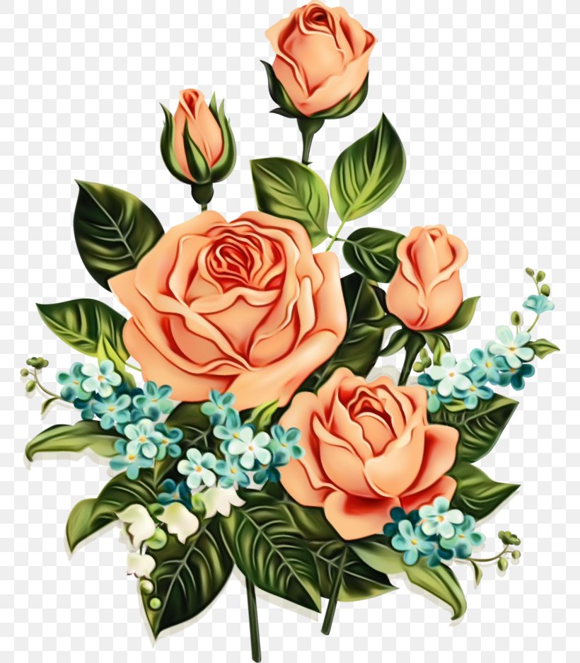 Garden Roses, PNG, 764x937px, Watercolor, Bouquet, Cut Flowers, Flower, Flower Arranging Download Free