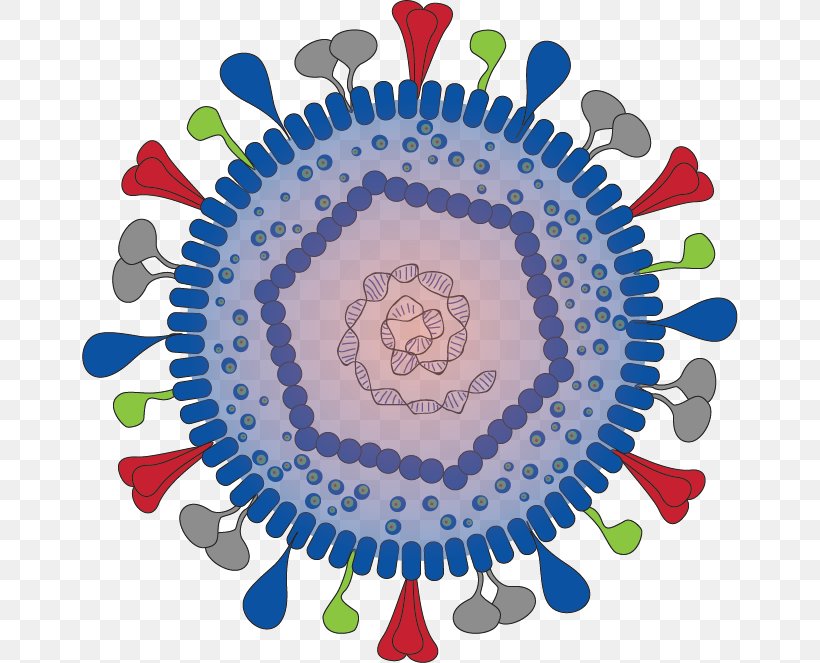 Herpes Simplex Virus Herpesviruses Varicella Zoster Virus Clip Art, PNG, 656x663px, Herpes Simplex Virus, Area, Art, Chickenpox, Cytomegalovirus Download Free
