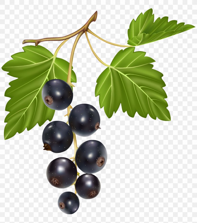 Italian Cuisine Lombardi's Berry Blackcurrant, PNG, 920x1038px, Italian Cuisine, Berry, Bilberry, Blackcurrant, Blueberry Download Free