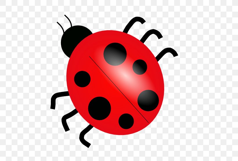 Ladybird Clip Art, PNG, 555x555px, Ladybird, Animation, Beetle, Drawing, Insect Download Free