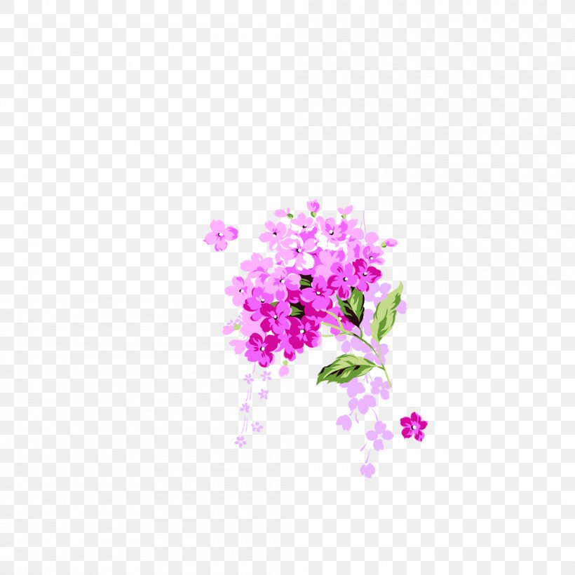 Petal Flower Illustration, PNG, 1000x1000px, Petal, Blossom, Designer, Floral Design, Flower Download Free