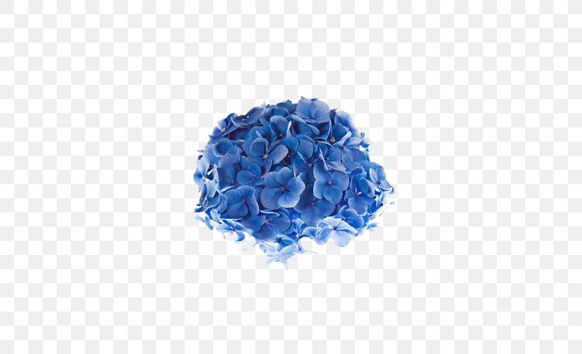Shimoda French Hydrangea Flower Blue Photography, PNG, 500x500px, Shimoda, Blue, Cobalt Blue, Electric Blue, Flower Download Free