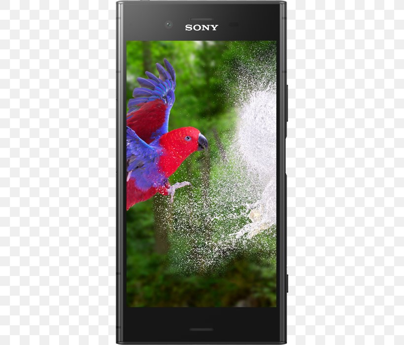 Sony Xperia XZ1 Compact Sony Xperia XA1 Sony Xperia P Sony Xperia XZ Premium, PNG, 554x700px, Sony Xperia Xz, Bird, Cardinal, Communication Device, Fauna Download Free