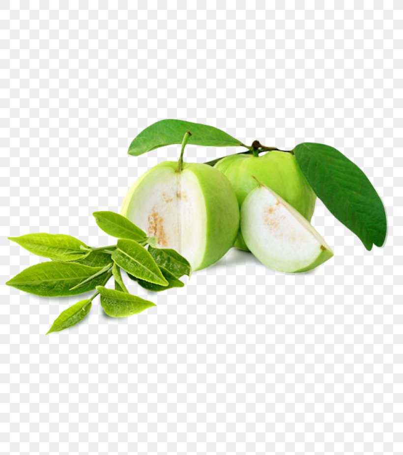 Guava Punch Clip Art Fruit, PNG, 800x926px, Guava, Apple, Common Guava, Diet Food, Food Download Free