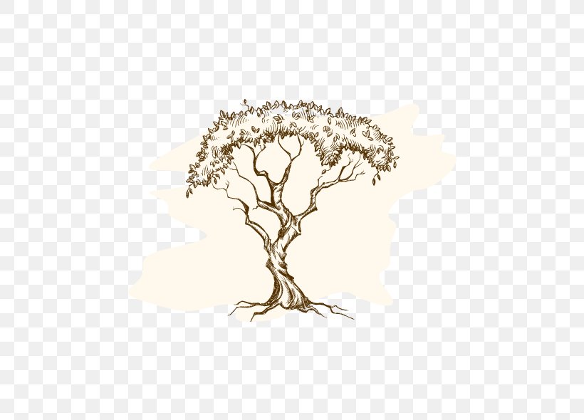 Tree Root, PNG, 590x590px, Drawing, Branch, Flower, Leaf, Plant Download Free
