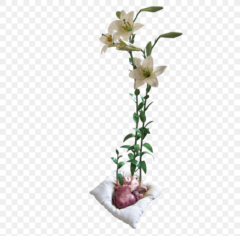 Art Floral Design Seletti Cut Flowers, PNG, 500x806px, Art, Anthurium, Art History, Artificial Flower, Chandelier Download Free