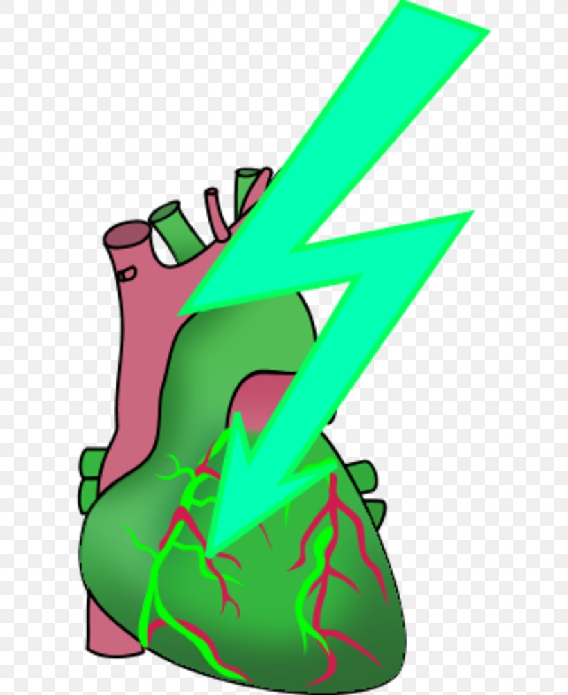 Heart Anatomy Human Body Clip Art, PNG, 600x1004px, Watercolor, Cartoon, Flower, Frame, Heart Download Free