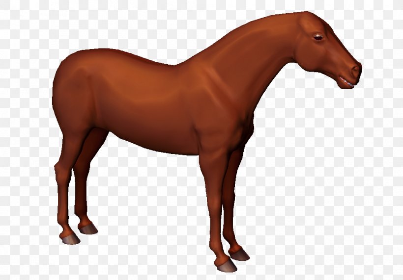 Horse Physics Newton's Laws Of Motion Reaction, PNG, 1007x702px, Horse, Action, Animal Figure, Bridle, Colt Download Free