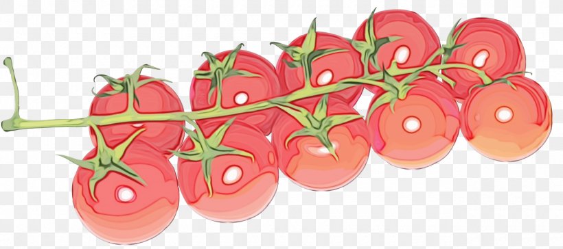 Tomato, PNG, 1280x569px, Watercolor, Cherry Tomatoes, Food, Fruit, Natural Foods Download Free