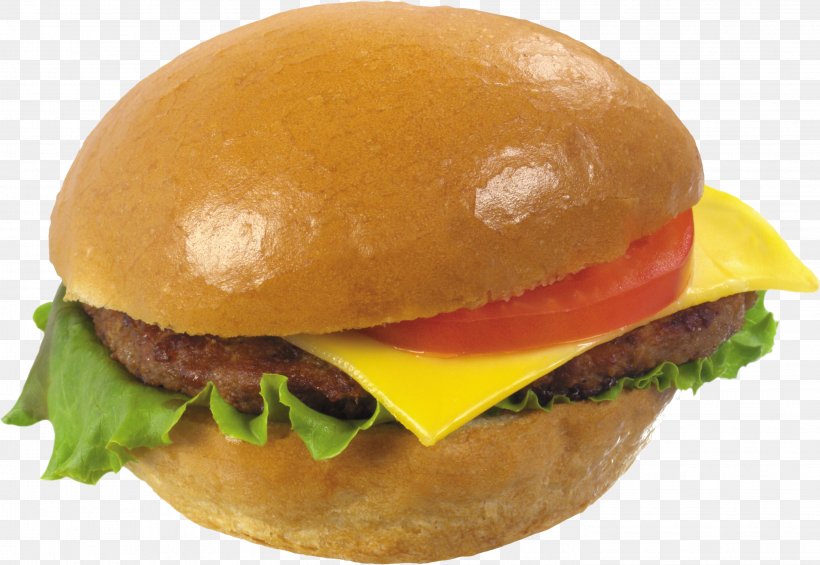 Hamburger Fast Food Hot Dog Pancake Butterbrot, PNG, 2846x1963px, Hamburger, American Food, Breakfast Sandwich, Buffalo Burger, Bun Download Free